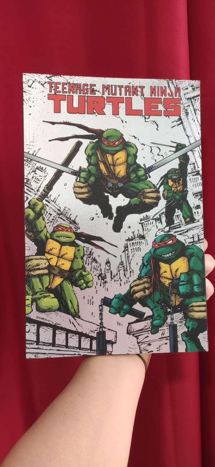 PANINI COMICS - TEENAGE MUTANT NINJA TURTLES 1, PANINI NINJA 1, Cover A